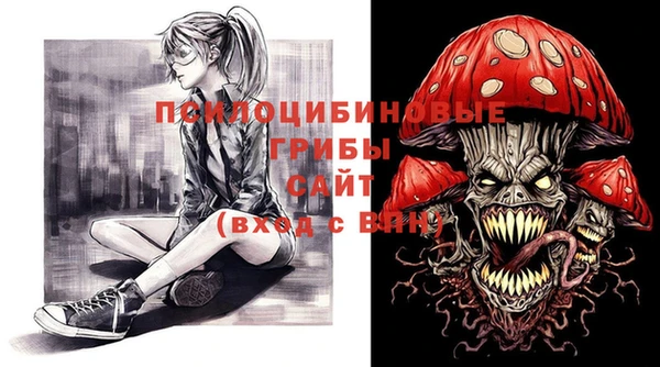 тгк Алексин