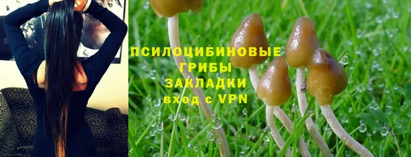 экстази Алзамай