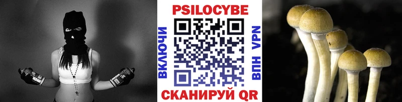 продажа наркотиков  Палласовка  omg зеркало  Галлюциногенные грибы GOLDEN TEACHER 